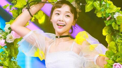 芒果娱乐101,青春追梦，星光璀璨的偶像养成之旅