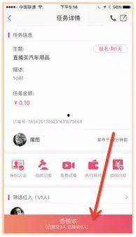 爱巢网红任务,创意家居布置攻略